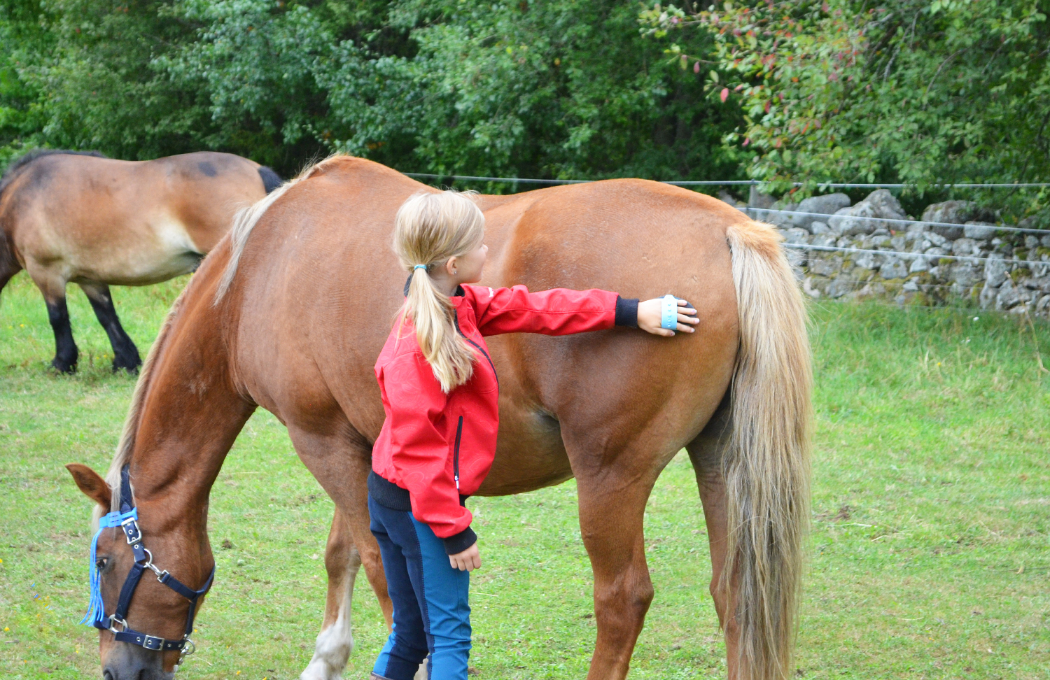 Rubber curry comb small VPlast Horse