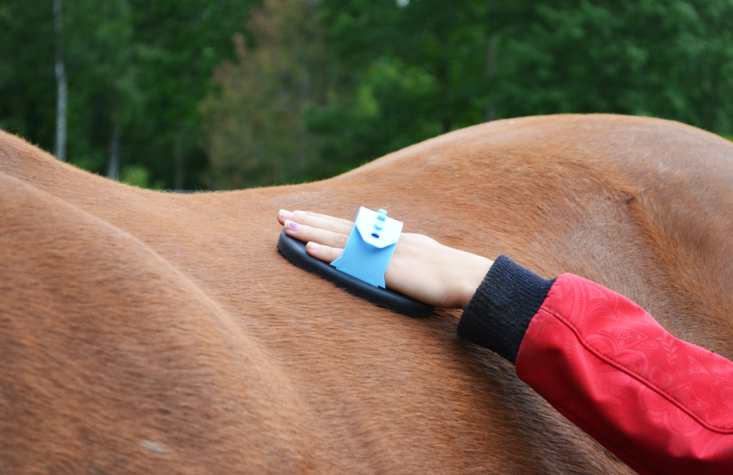 Rubber curry comb small VPlast Horse